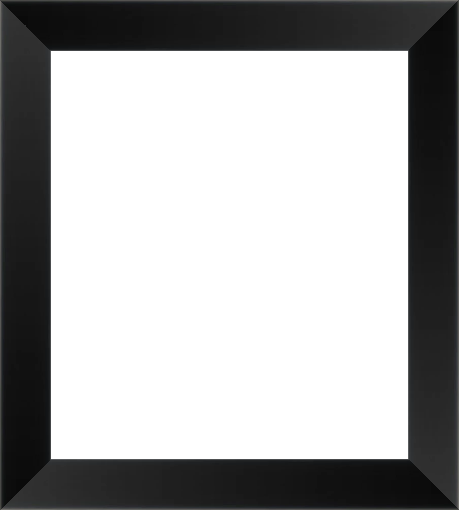 Large_frameOnly