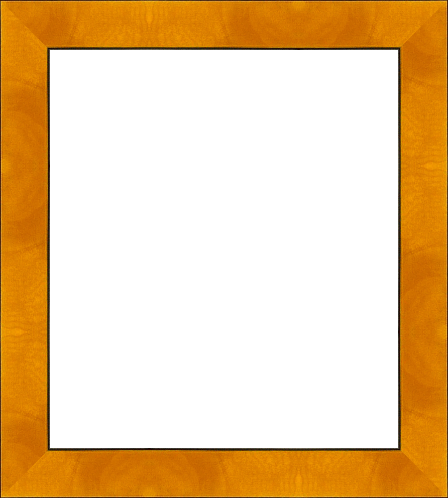 Large_frameOnly_larfsh_patternFrame
