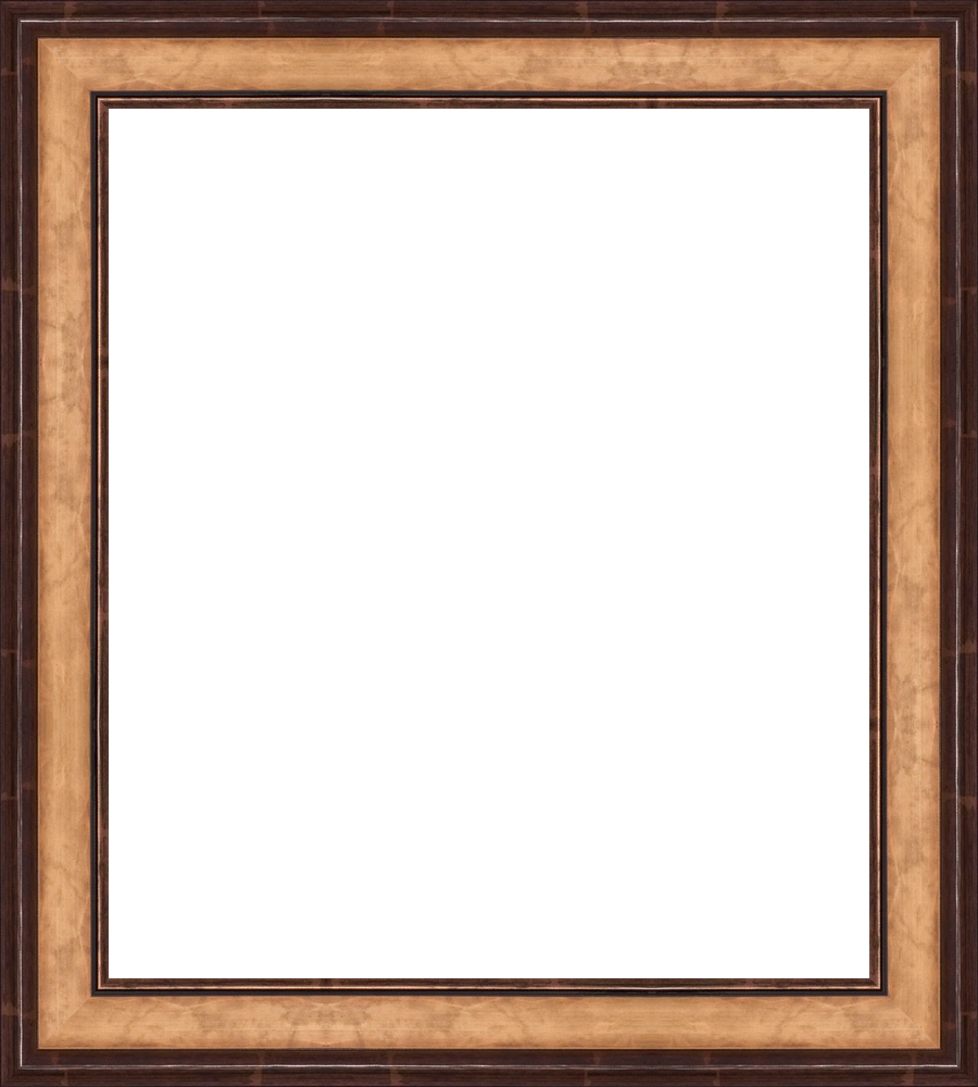 Large_frameOnly_larfsh_patternFrame