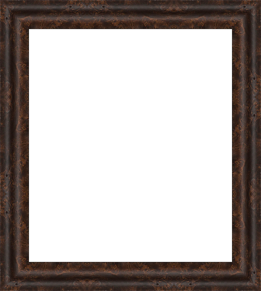 Large_frameOnly_larfsh_patternFrame