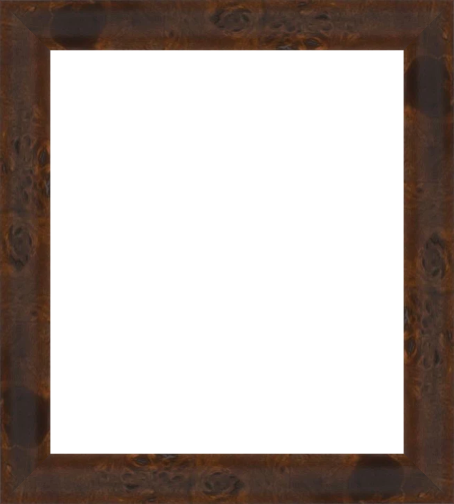 Large_frameOnly